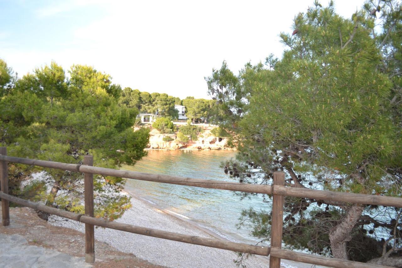 Apartamento En Primera Linea De Mar 安波拉 外观 照片